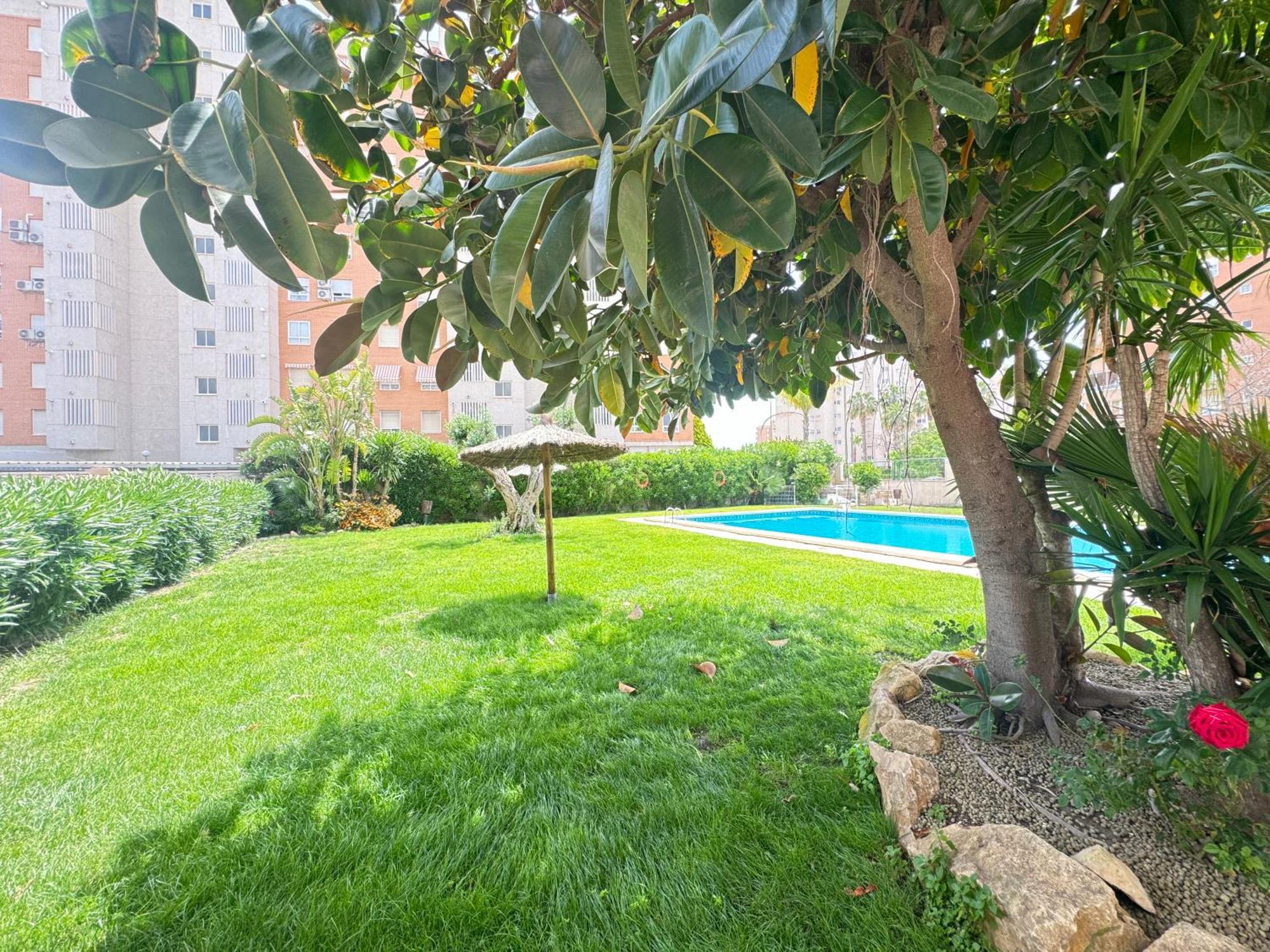 Estudio Con Piscina لقنت المظهر الخارجي الصورة